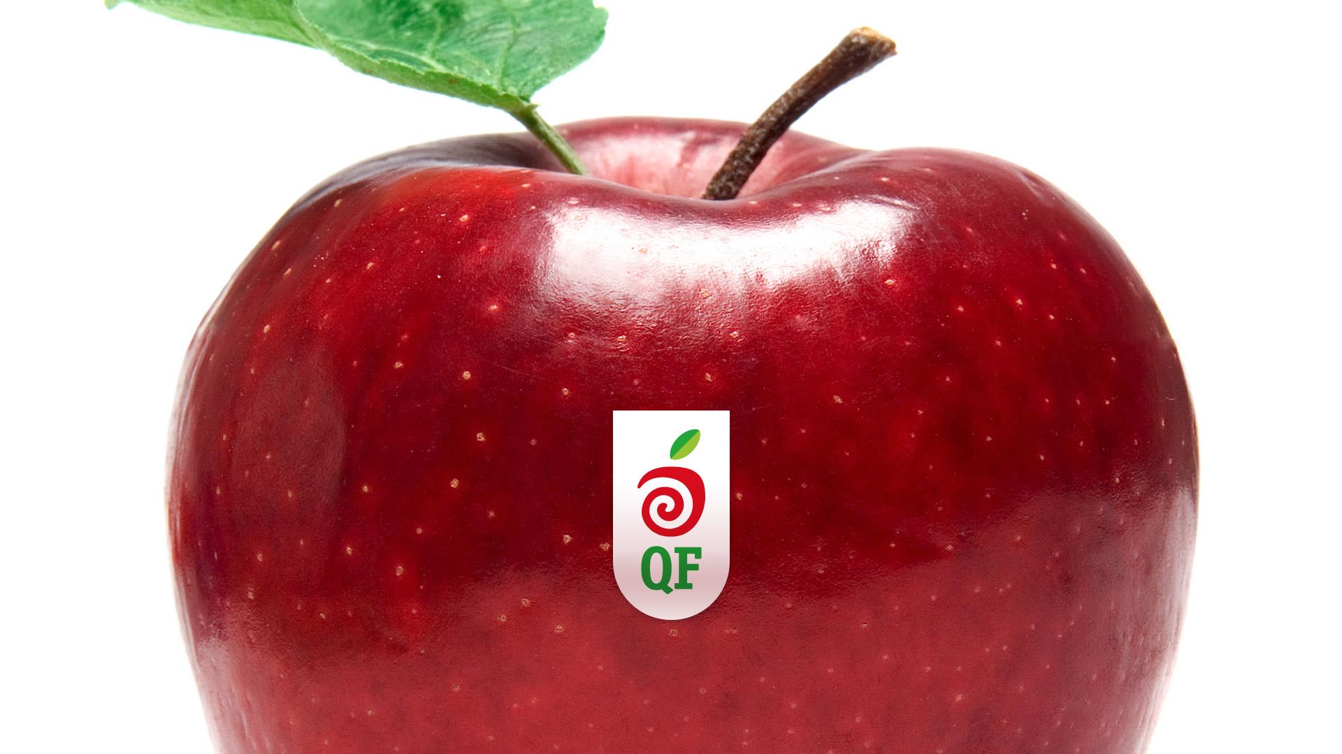 Qazaq fruit begonia design studio