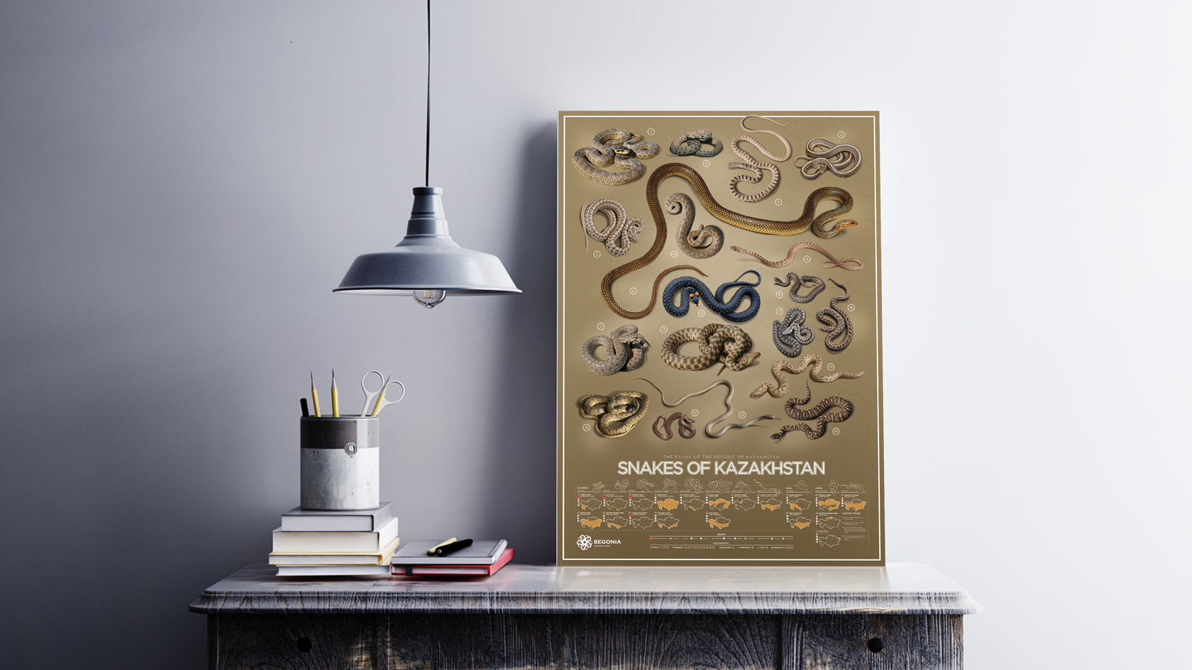 Snakes of Kazakhstan Begonia design studio